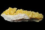Fluorescent, Yellow Calcite Crystal Cluster - South Dakota #170691-1